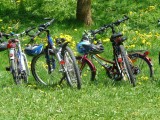bicycles-6895-1920-3233