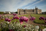 chateau-de-st-germain-3097