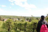 img-6425-3255