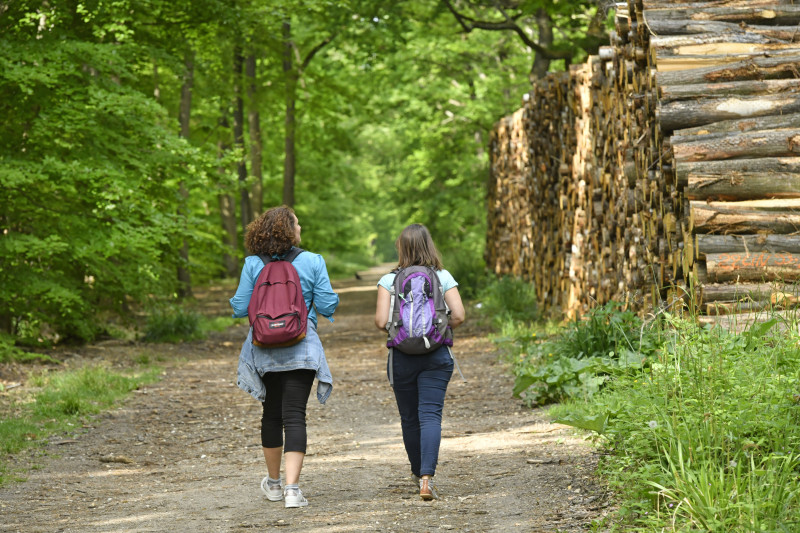 8865-oti-sgbs-jda7289-1-8964