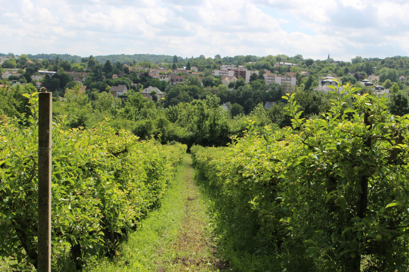img-6770-7369